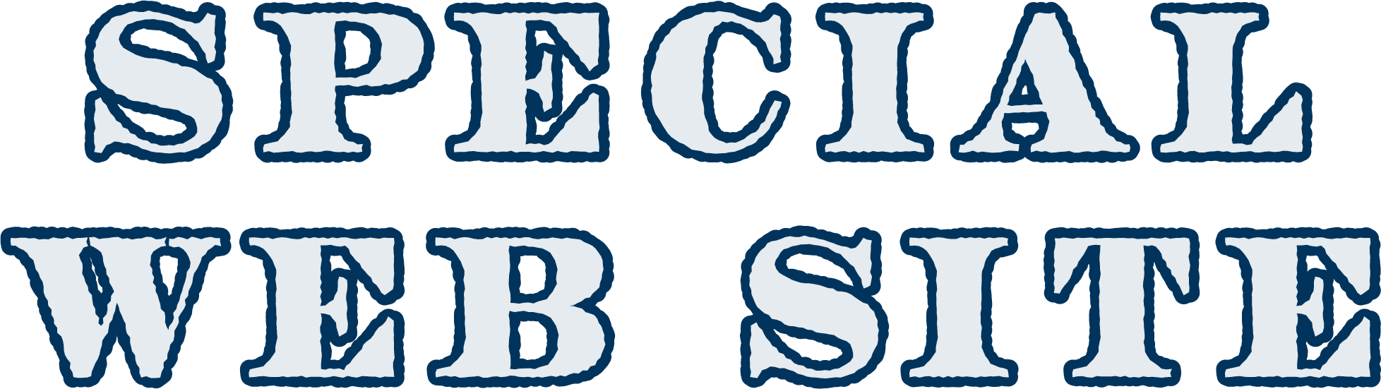 SPECIAL WEB SITE